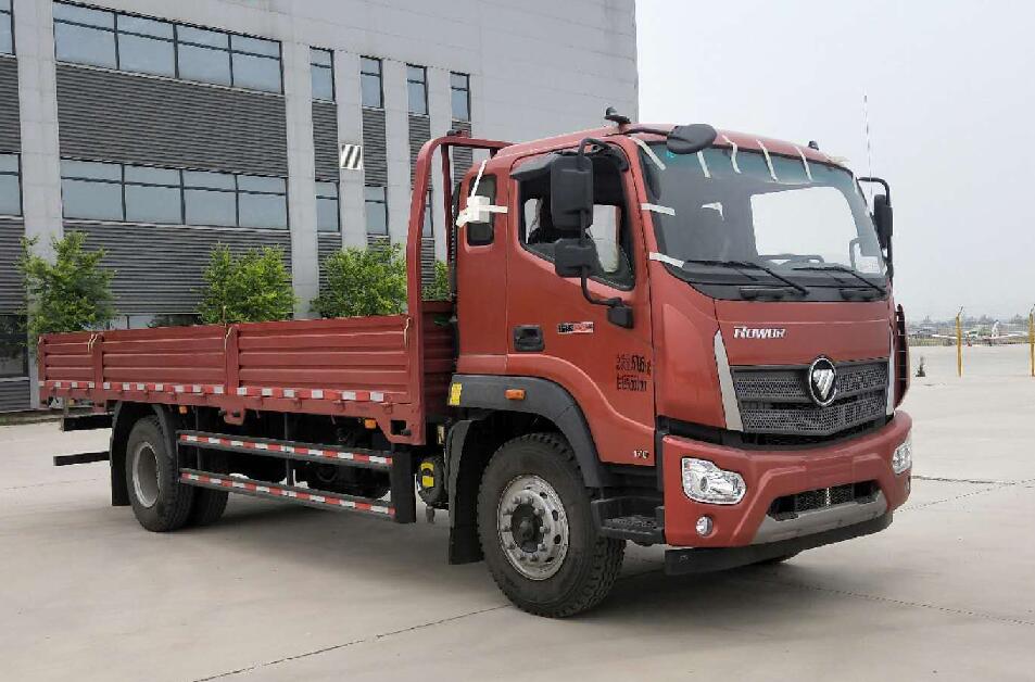 第10批次BJ1165VJPEK-FA载货汽车