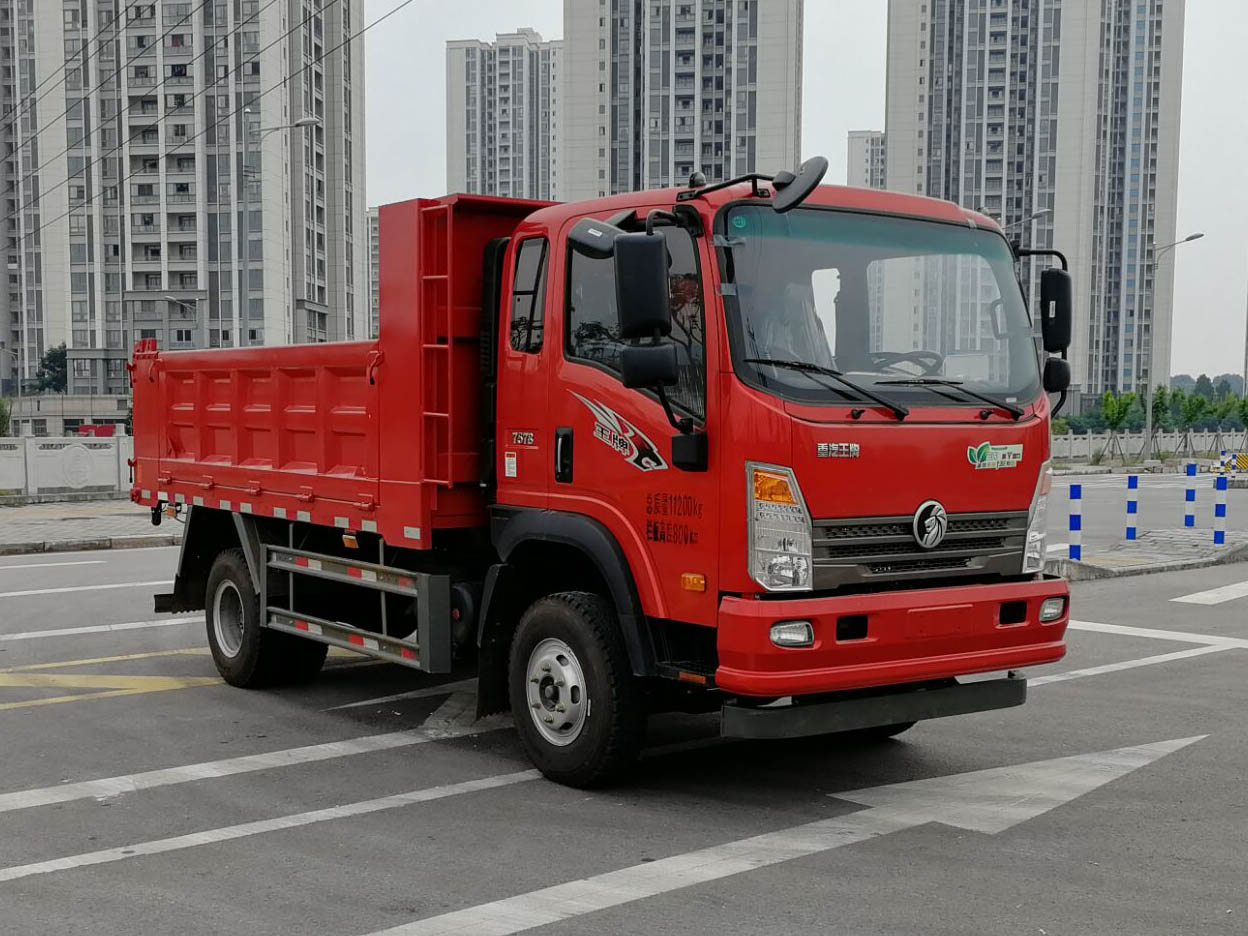 第14批次CDW3110HA2Q5自卸汽車